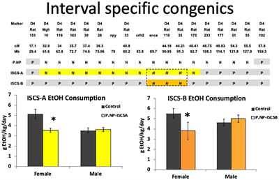 Estrogen-Dependent Upregulation of Adcyap1r1 Expression in Nucleus Accumbens Is Associated With Genetic Predisposition of Sex-Specific QTL for Alcohol Consumption on Rat Chromosome 4